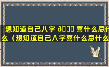 想知道自己八字 🐒 喜什么忌什么（想知道自己八字喜什么忌什么怎么办）